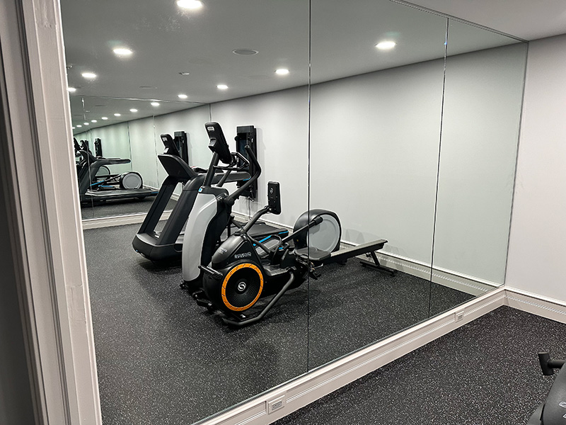 gym mirrors for sale