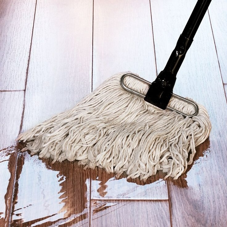 mop for hardwood floors