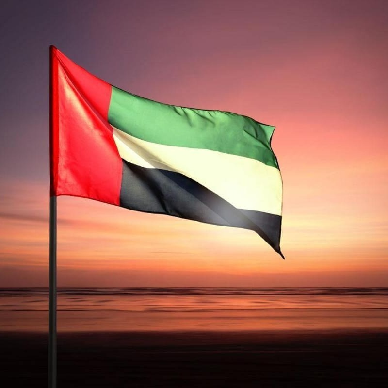 Dubai flag